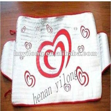 car snowshade /auto snow shade