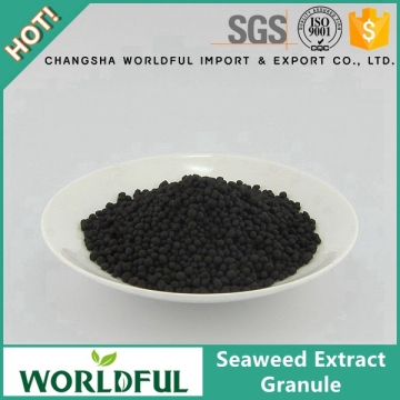 Worldful Manufacturer Seaweed Granule/Sargassum Seaweed/Seaweed Extract