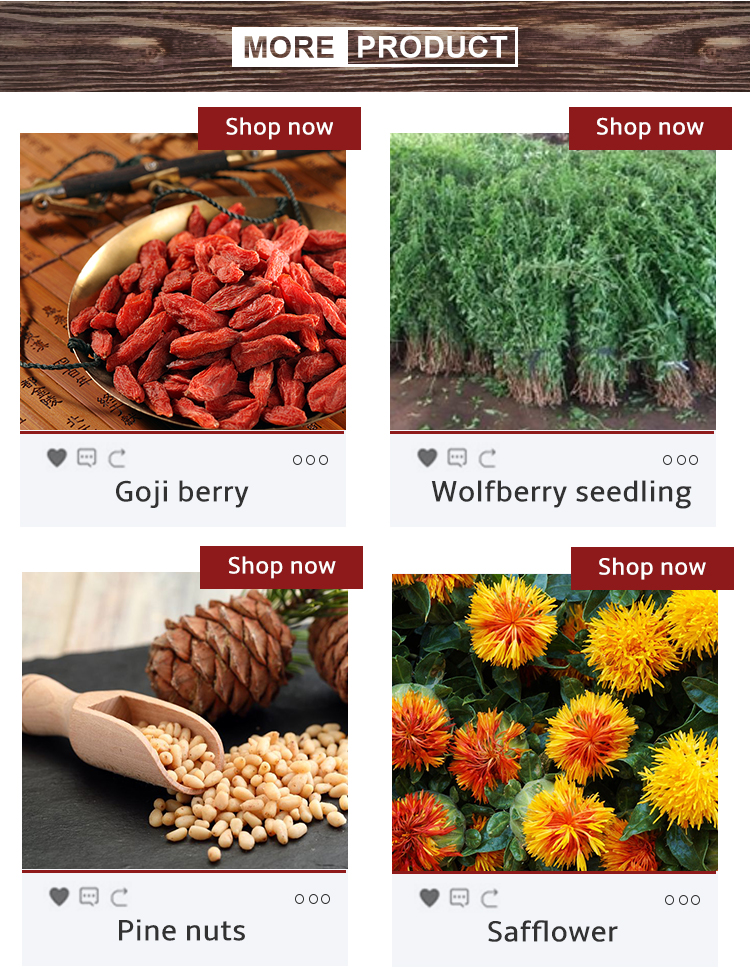 China Supplier High Germination Low Price Wholesale Wolfberry Berry Seeds