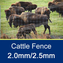 2.2MM*2.5MM Ranch Style Fencing