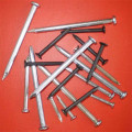 Steel concrete nail with top quality