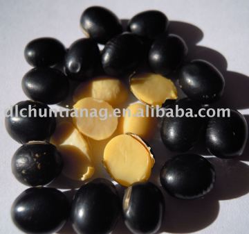organic black bean yellow kernel