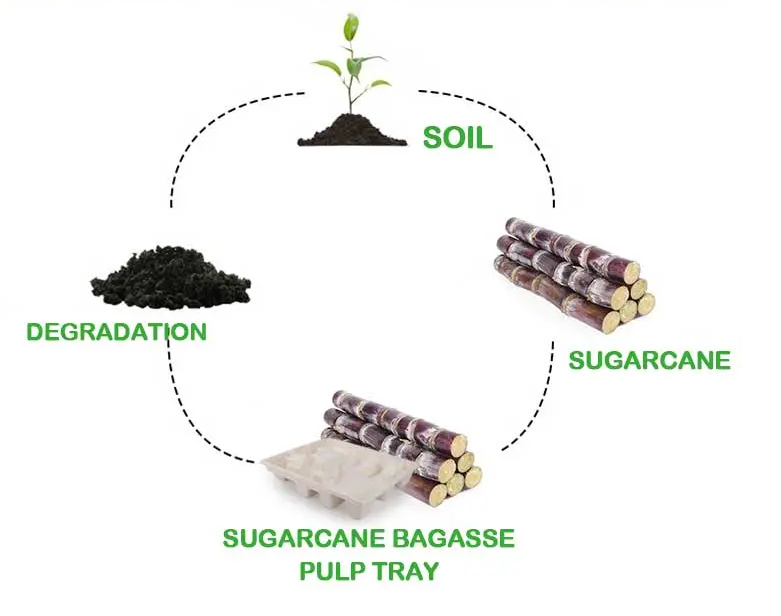 Packaging Raw Materials