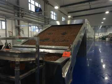 Raisins dryer, raisins drying equipment