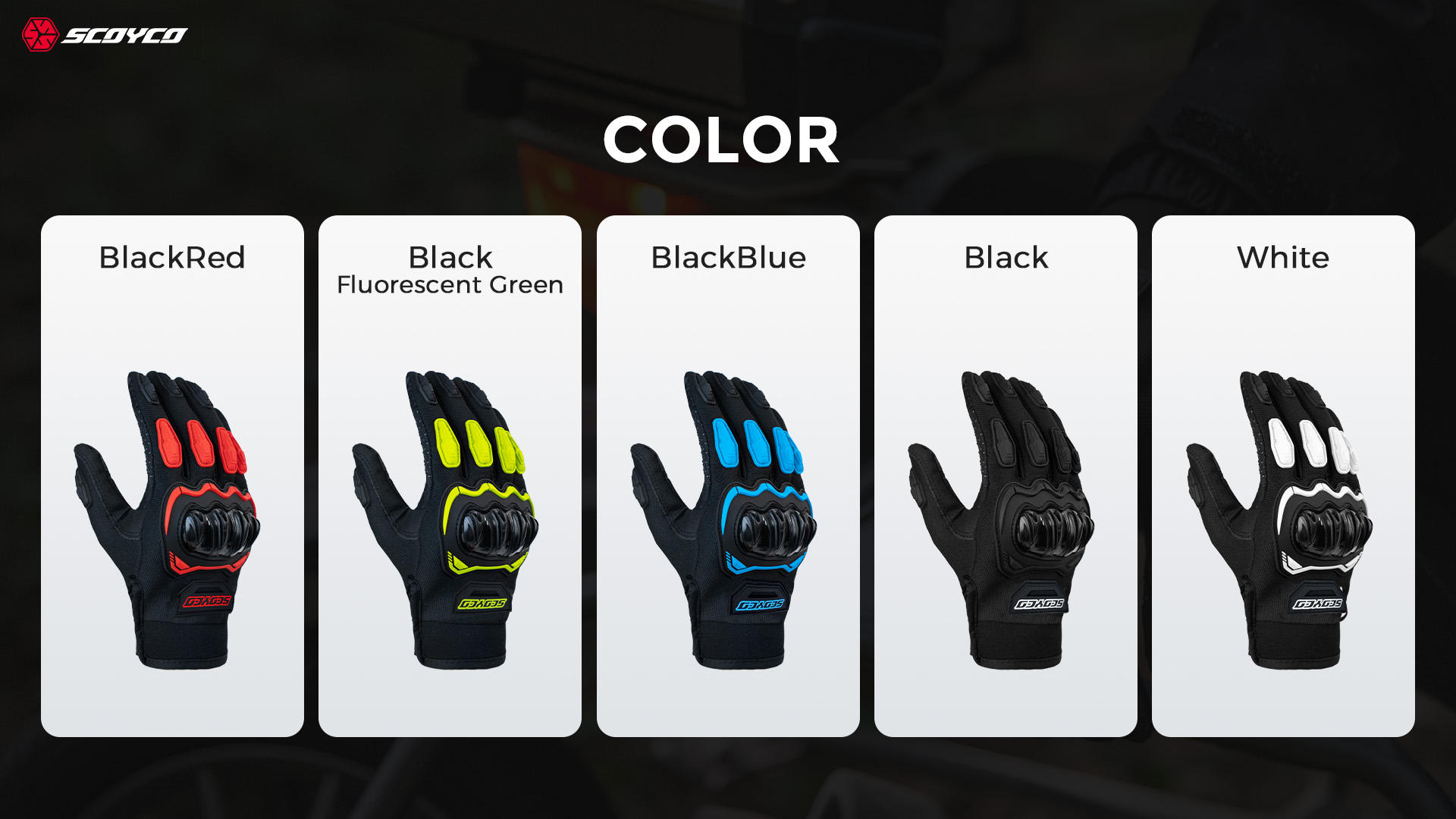 MC238_05_color MC238_05_color