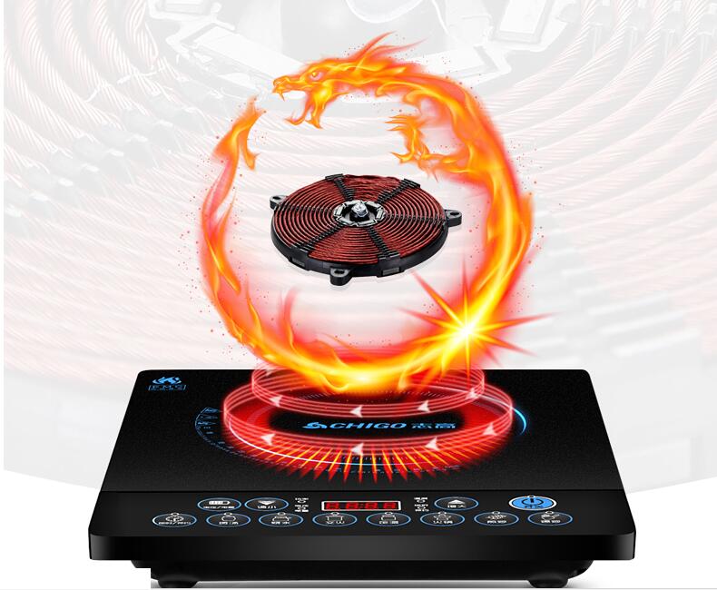 electric induction cooker