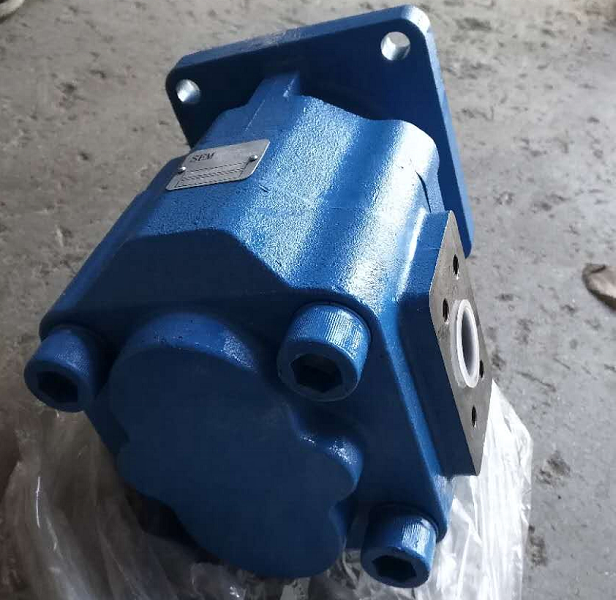 W061700000 Zahnradpumpe für SEM650B