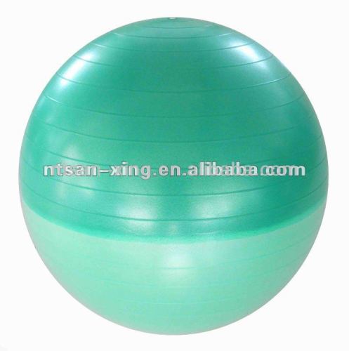 65cm Exercise Fitness Aerobic Ball for GYM Yoga Pilates Pregnancy Birthing Swiss2