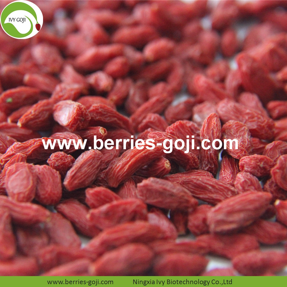 Goji-Beere enthält reichlich Lycium-Polysaccharid, Beta-Carotin, Vitamin E, Selen und Flavonoide und andere antioxidative Substanzen, die eine gute antioxidative Wirkung haben. Goji-Beere kann freie Radikaloxidation bekämpfen, freien Radikalperoxydschaden verringern, der helfen kann, Altern zu verzögern und das Leben zu verlängern. Goji berry contains abundant lycium polysaccharide, beta-carotene, vitamin E, selenium and flavonoids and other antioxidant substances, which have a good antioxidant effect. Goji berry can fight free radical oxidation, reduce free radical peroxide damage, which can help delay aging and prolong life.