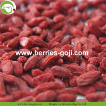 Chế phẩm trái cây bán buôn Eu Goji Berries tiêu chuẩn