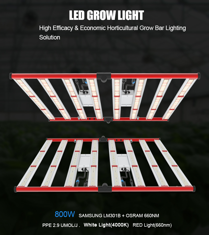 Luz de cultivo de cultivo de espectro de 800W de 800W en interiores