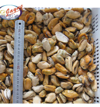 Good Price Shellfish Frozen Half Shell Blue Mussels