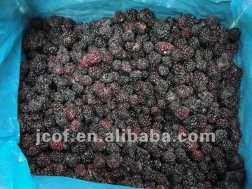 IQF Blackberry