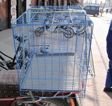 Galvanized parrot cage