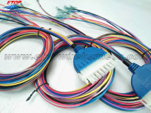 Overmolded MATE-N-LOK Connectors Assembly