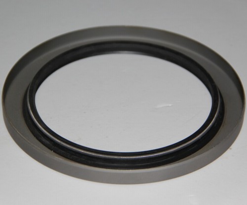 Oil Seal with Metal Frame