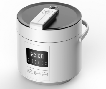 DELUXE RICE COOKER WITH LARGE PANEL