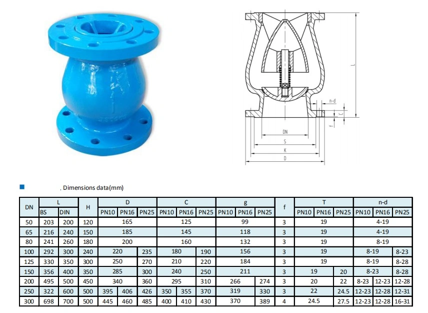 Lift Check Valve
