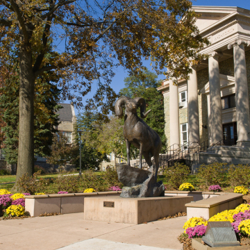 bronze casting foundry metal craft brass sheep sculpture