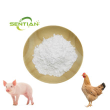 Xylanase Enzyme for Animal Feed additive Xylanase