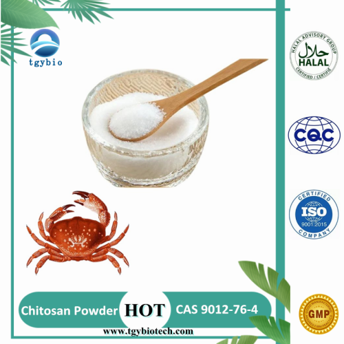 Fourniture 100% poudre de chitosane soluble dans l&#39;eau CAS 9012-76-4