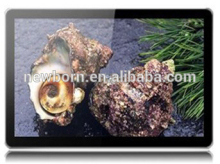 19 inch landscape wllmount digital signage, LCD AD Player