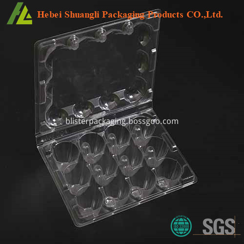 quail egg tray quail egg tray