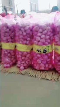 Garlic wholesale Hot sales
