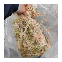 Dried Sphagnum Moss for Plant Pots and Reptile Habitats