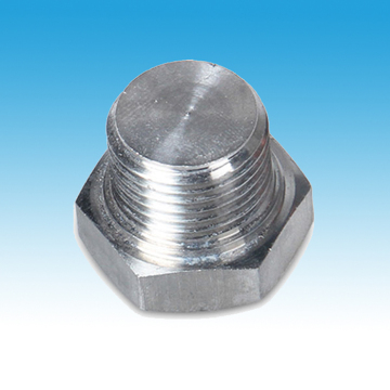 Inox Hexagon Head Plug