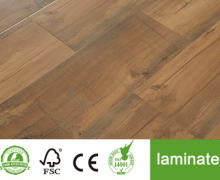 Solidwood Design 12mm Laminated Floor