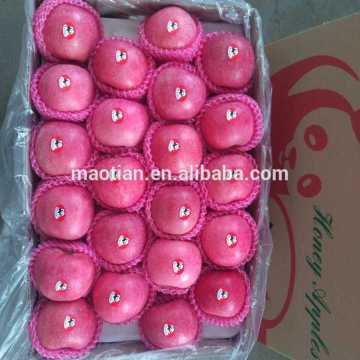 china wholesale fruit prices