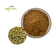 Herbal Extracts Fennel Extract Powder