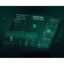 DATA VISUALIZATION SERVICE