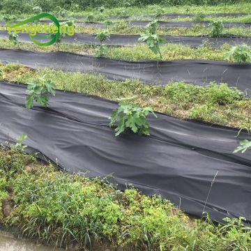 UV treated PP non woven fabric