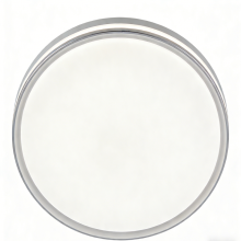 Decorative flush mount light