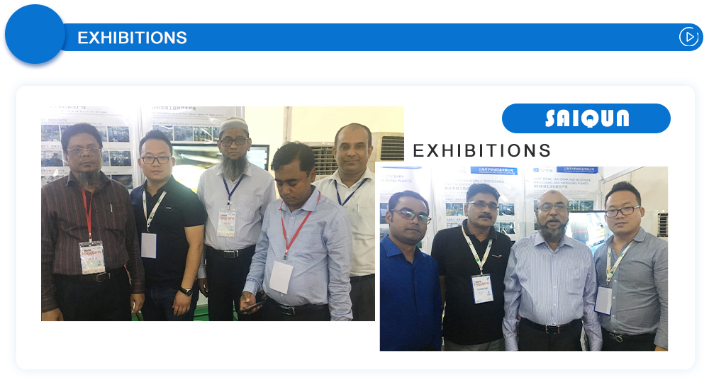 Fruit pulper machine for Fruit Processing Line