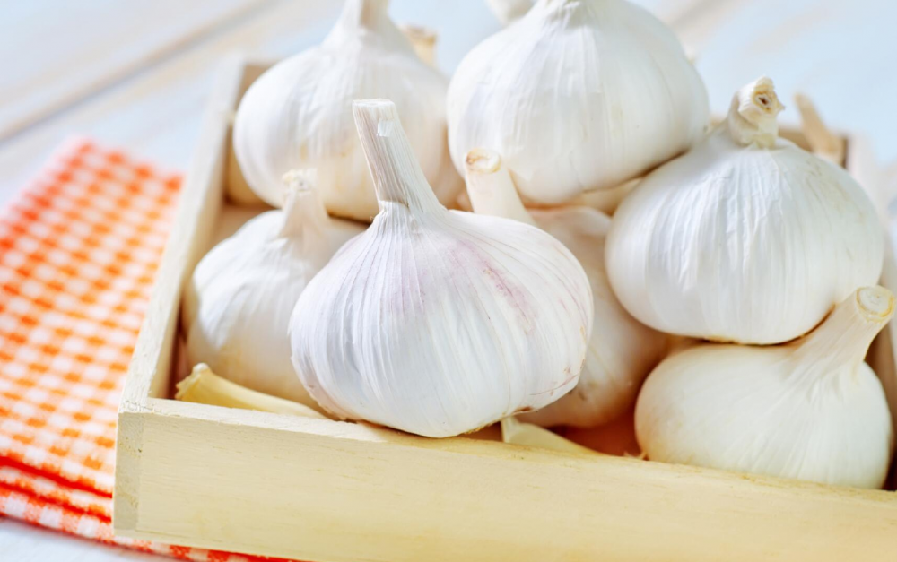 Export Chinese fresh garlic high quality garlic wholesale