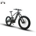 US free shipping full suspension 48V 1000w ebike