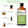 Mafuta safi ya asili ya Aromatherapy Catnip muhimu kwa diffuser