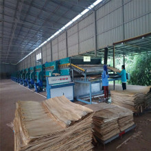 2 Layer Roller Veneer Dryer Machine