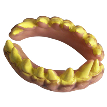 Fales Teeth (AMFT-0099)