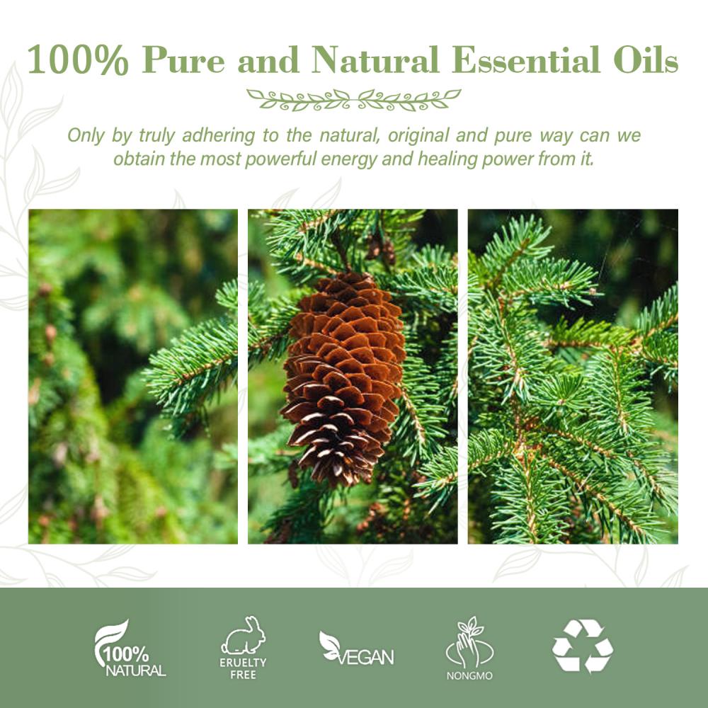 100% чистого натурального высококачественного эфирного масла ароматерапии ели