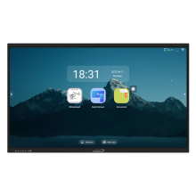 Interactive Flat Panel Price