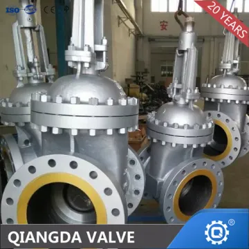 CF3M Stainless Steel Gate Valve