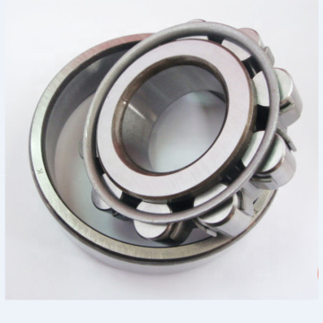 TMB Large Stock: Steel & Brass Roller Bearings N304-N310