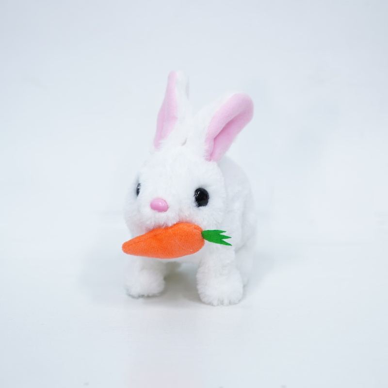 Solid Fur Animated Carrot Rabbit Toy