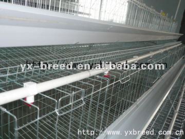 poultry slaughter equipments