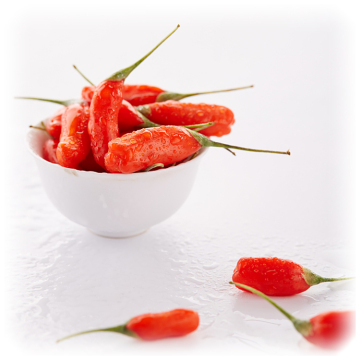 Red Power QIZITO fresh goji berries semilla de goji goji fruit