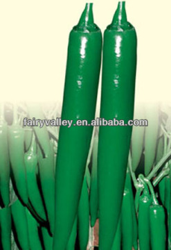 Thailand Green Jade-Long Green Thai Ghost Chili Pepper seeds
